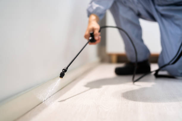 Licensed Termite Control service in Center Point, NM - Nex Pest Control