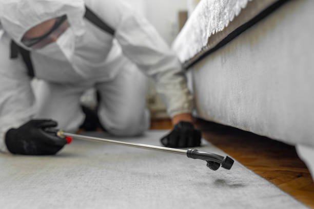Professional Termite Control technician working in Center Point, NM